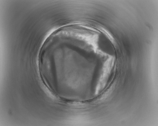 X0000115510907200911271428