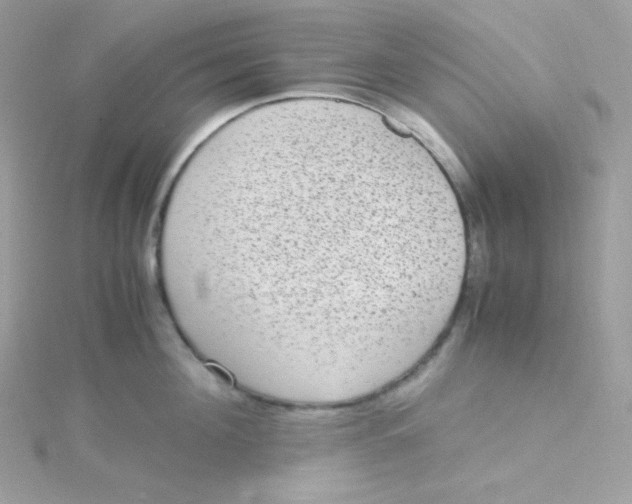 X0000115510908200911271428