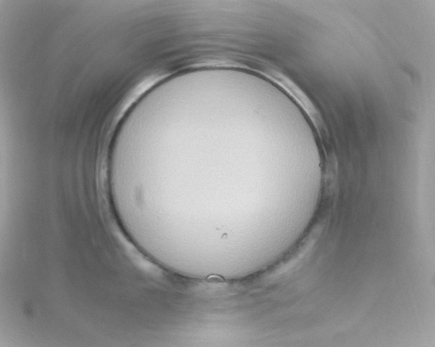 X0000115510909200911271428