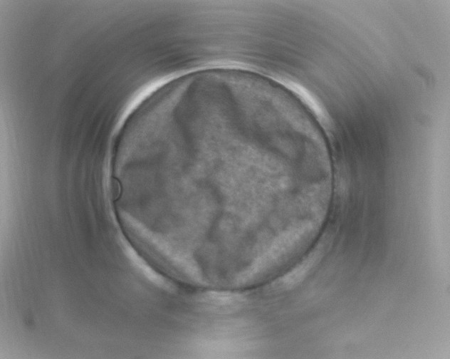 X0000115510910200911271428