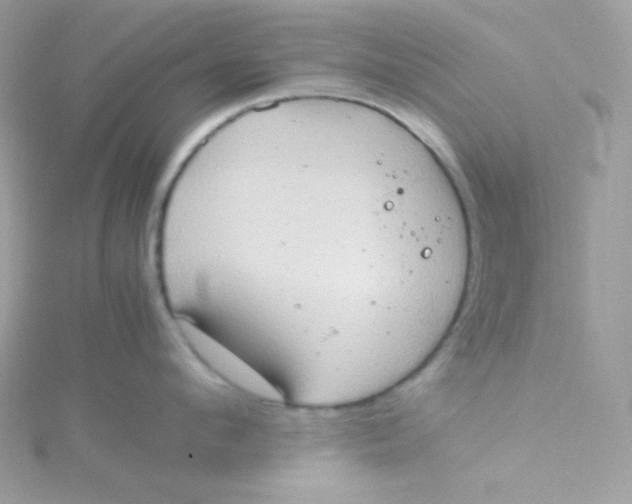 X0000115510912200911271428