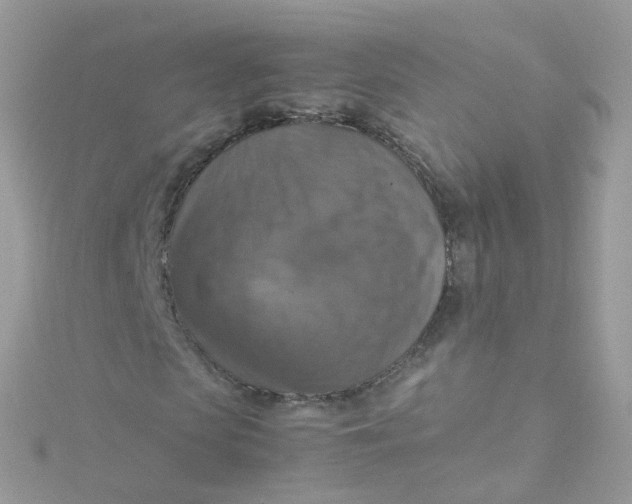 X0000115510913200911271427