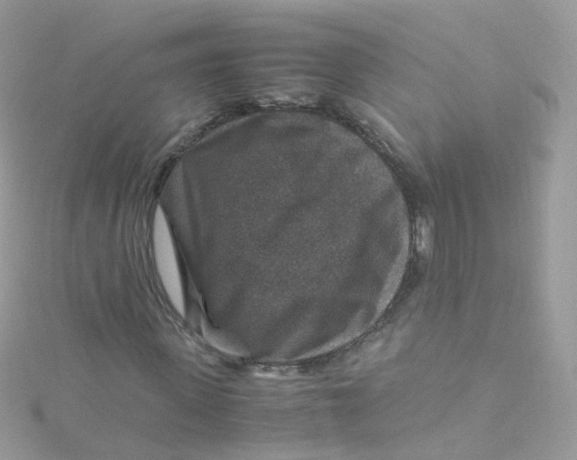 X0000115510915200911271427