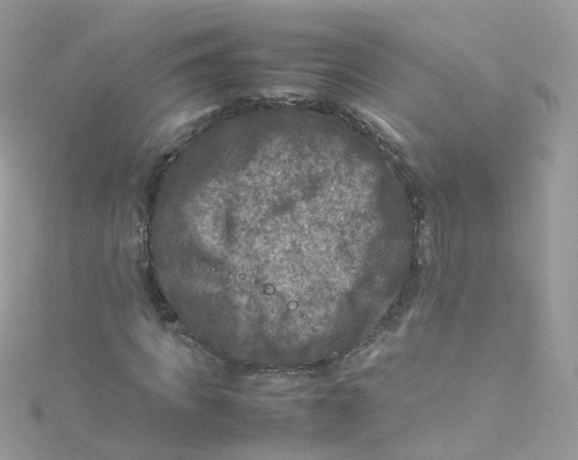 X0000115510917200911271427