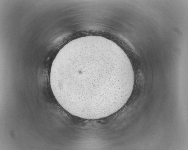 X0000115510918200911271428