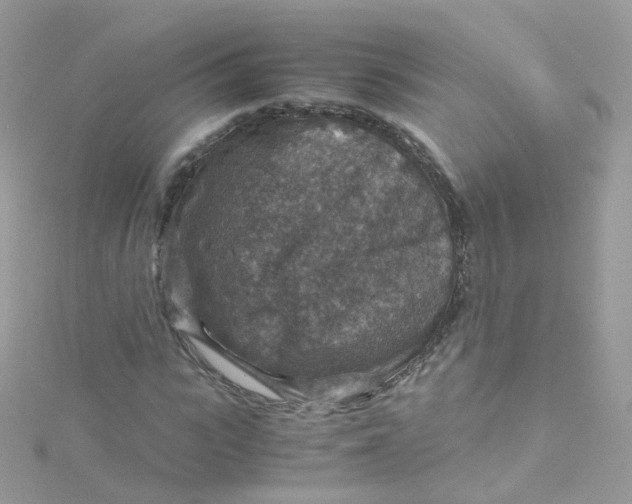 X0000115510919200911271428