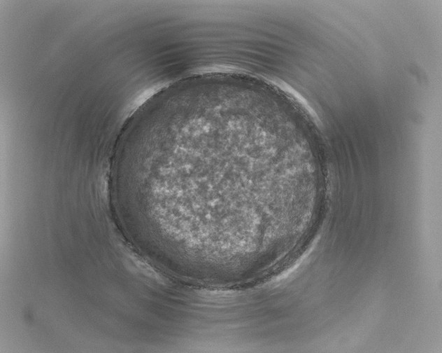 X0000115510921200911271428