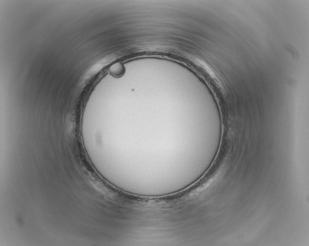 X0000115510922200911271428