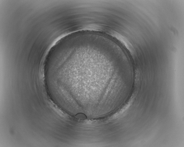 X0000115510923200911271428