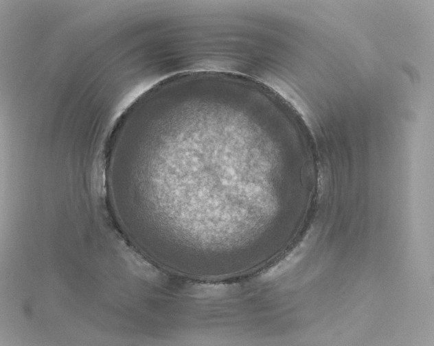 X0000115510925200911271428