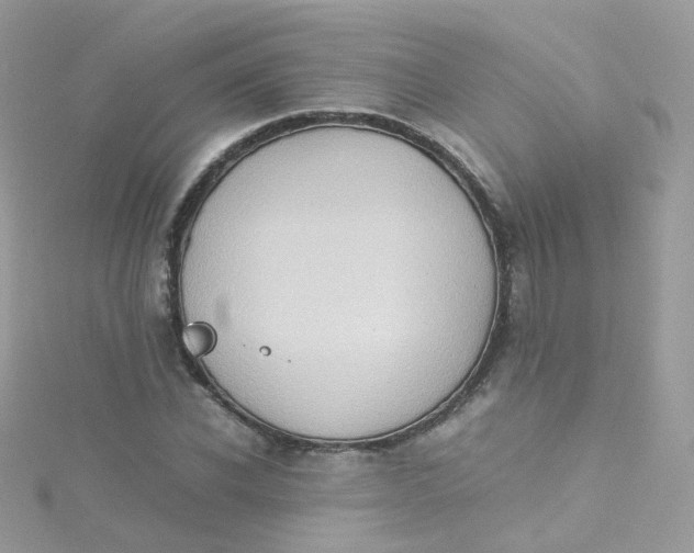 X0000115510926200911271428