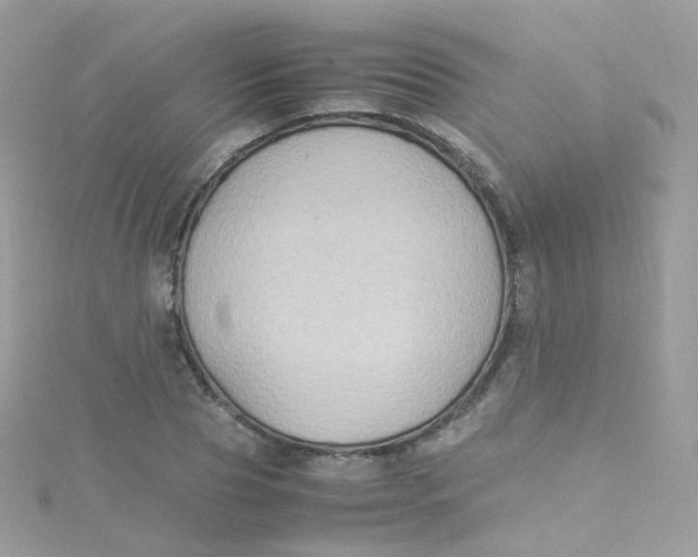 X0000115510929200911271428