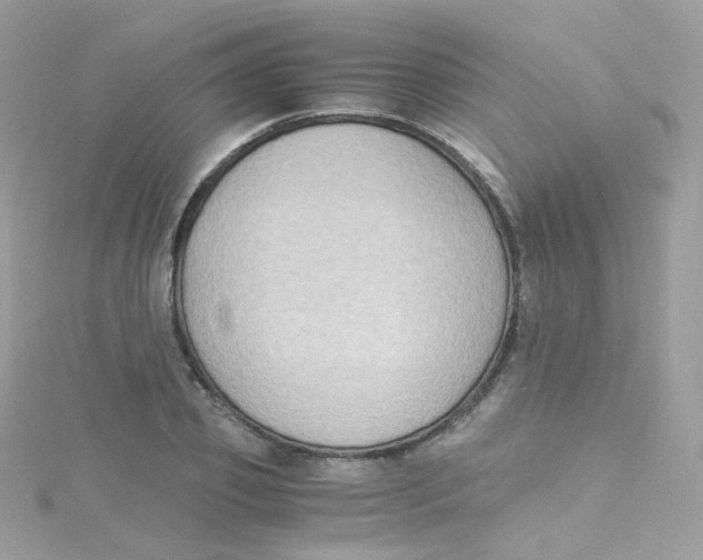 X0000115510933200911271428