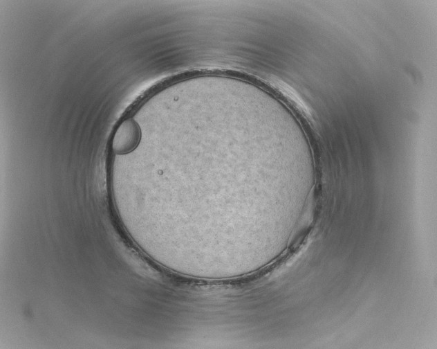 X0000115510934200911271428