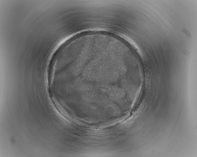 X0000115510935200911271428