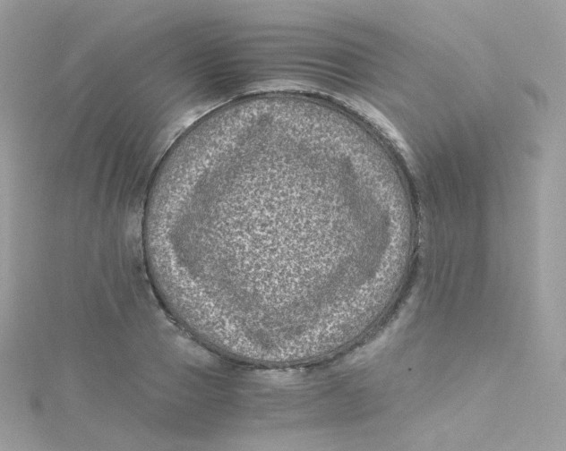 X0000115510937200911271428