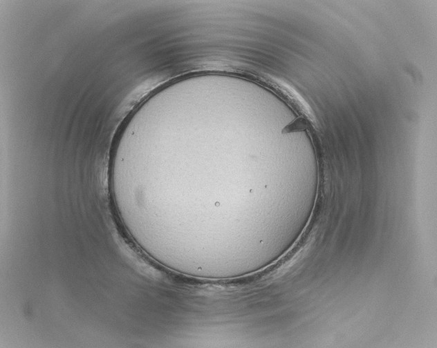 X0000115510938200911271428