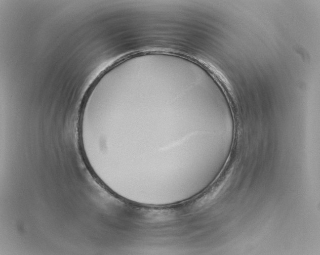 X0000115510941200911271428