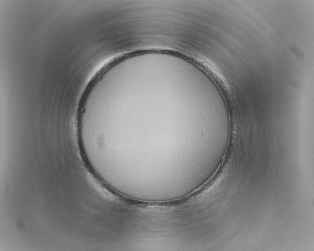 X0000115510942200911271428