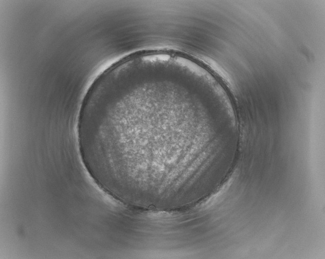 X0000115510943200911271428