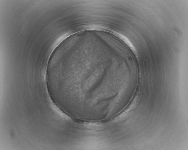 X0000115510946200911271428