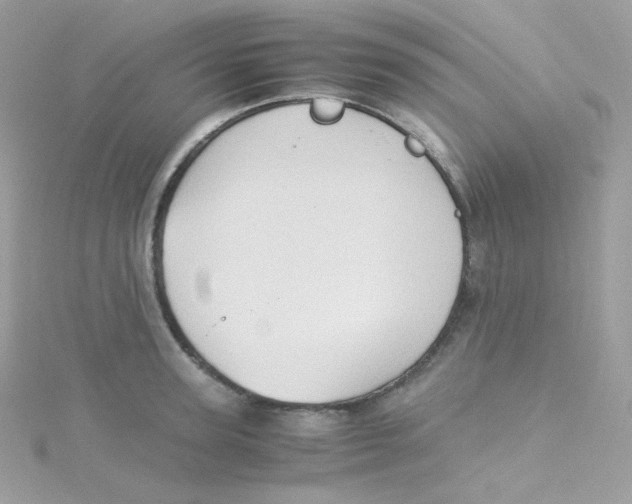 X0000115510947200911271428