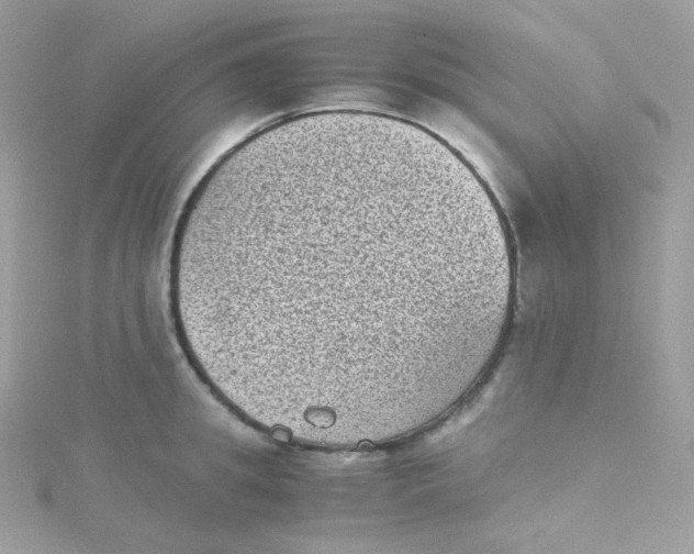 X0000115510949200911271428