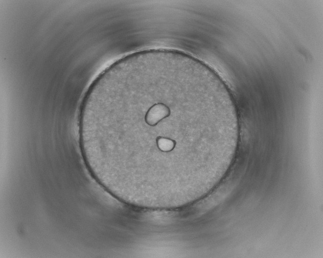 X0000115510950200911271428