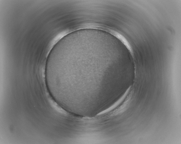 X0000115510954200911271428