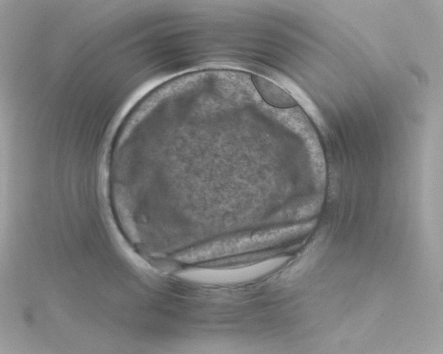 X0000115510955200911271428