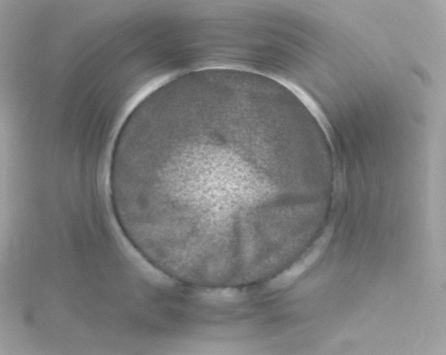 X0000115510957200911271428