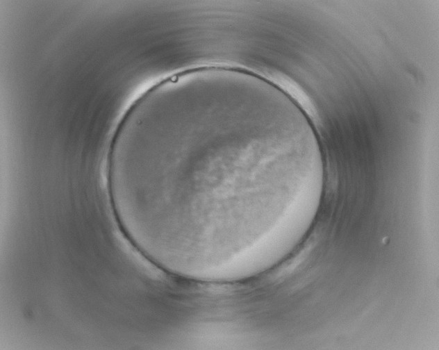 X0000115510958200911271428