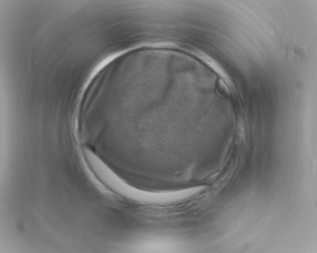 X0000115510959200911271428