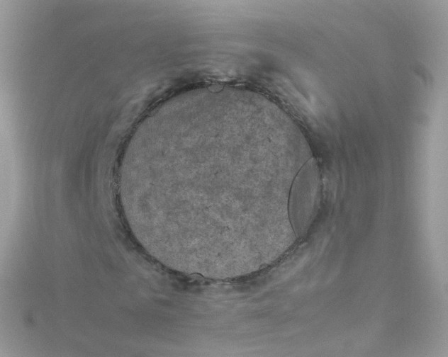 X0000115510961200911271427