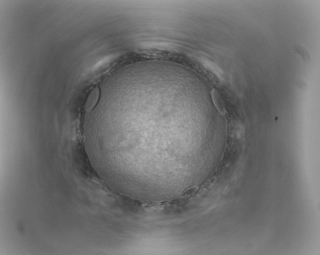 X0000115510965200911271427