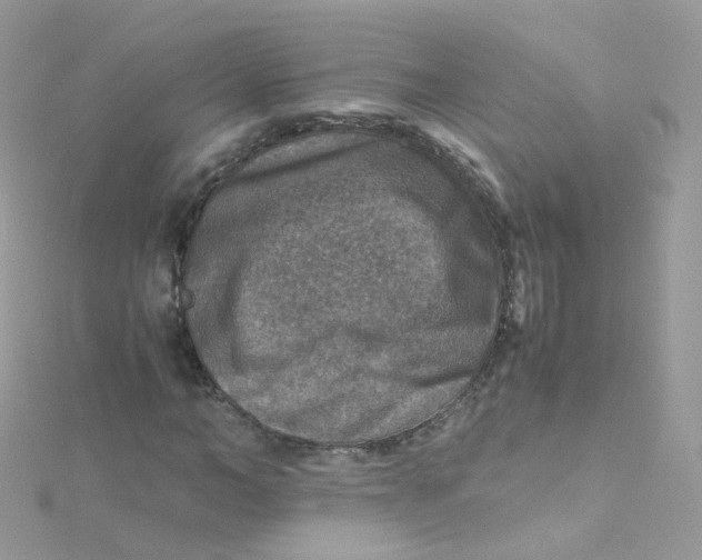 X0000115510966200911271427