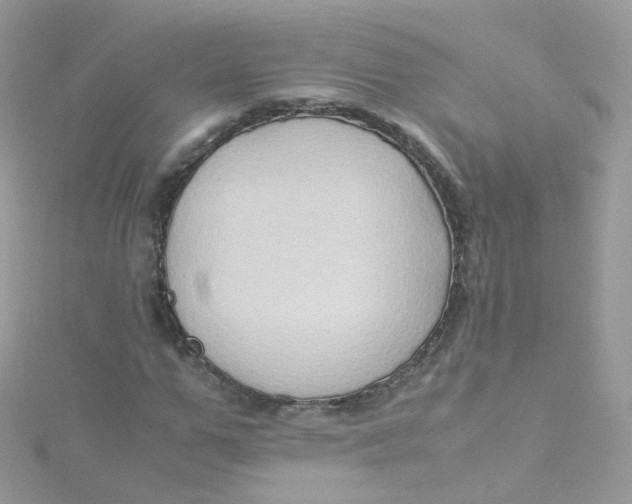 X0000115510967200911271427