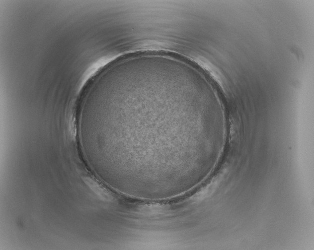 X0000115510973200911271427