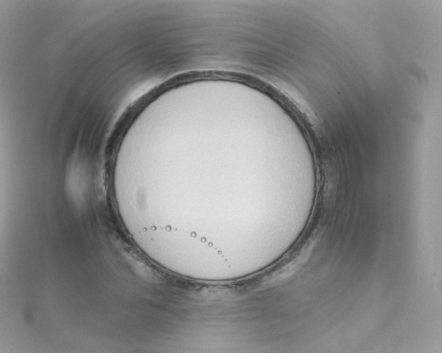 X0000115510974200911271427