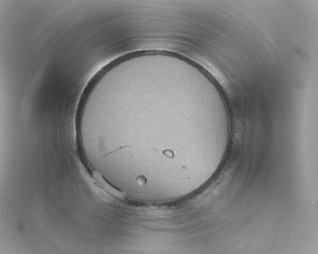 X0000115510980200911271427