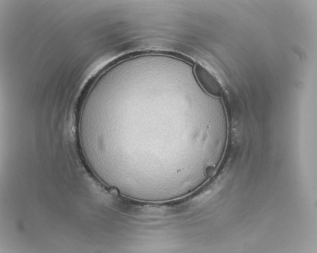 X0000115510981200911271427