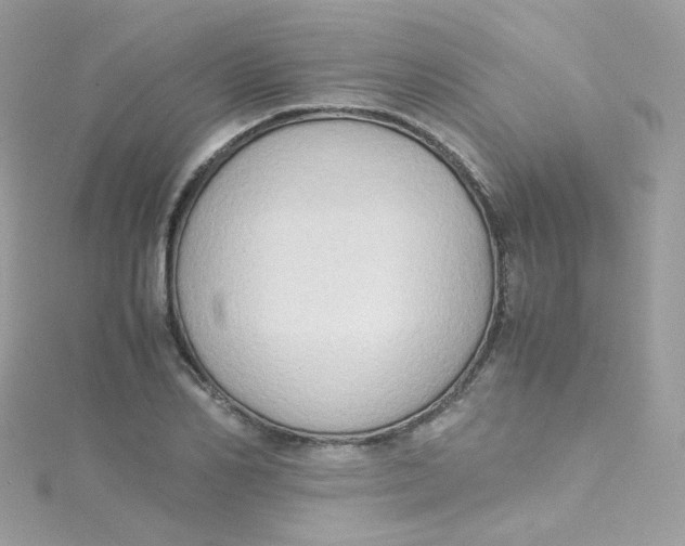 X0000115510982200911271427