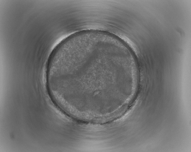 X0000115510983200911271427