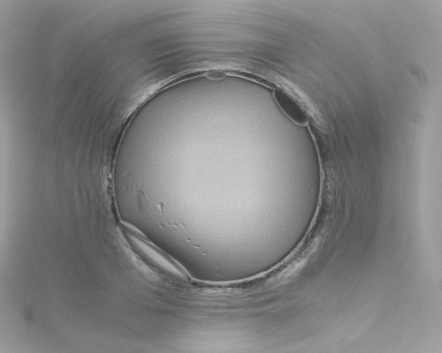 X0000115510985200911271427