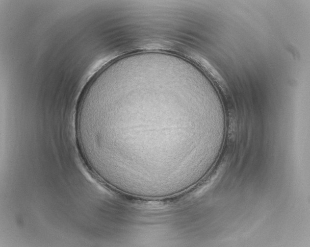 X0000115510986200911271427