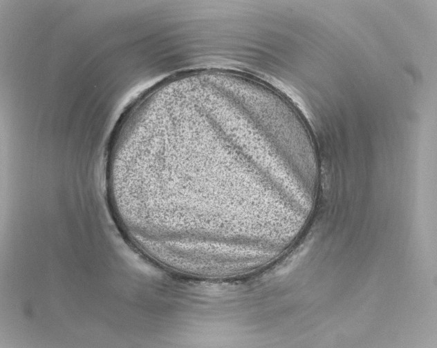 X0000115510987200911271427