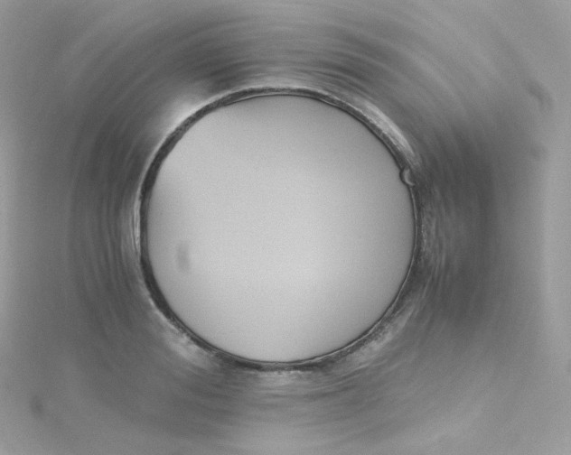 X0000115510988200911271427