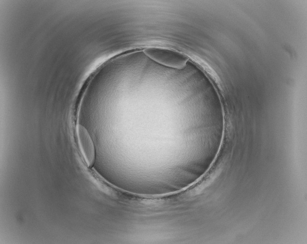 X0000115510989200911271427