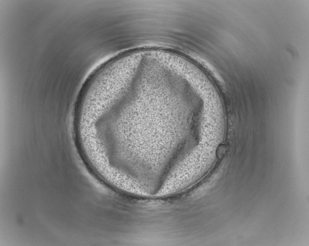 X0000115510991200911271427