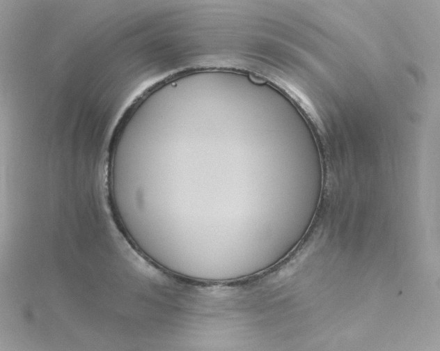 X0000115510992200911271427